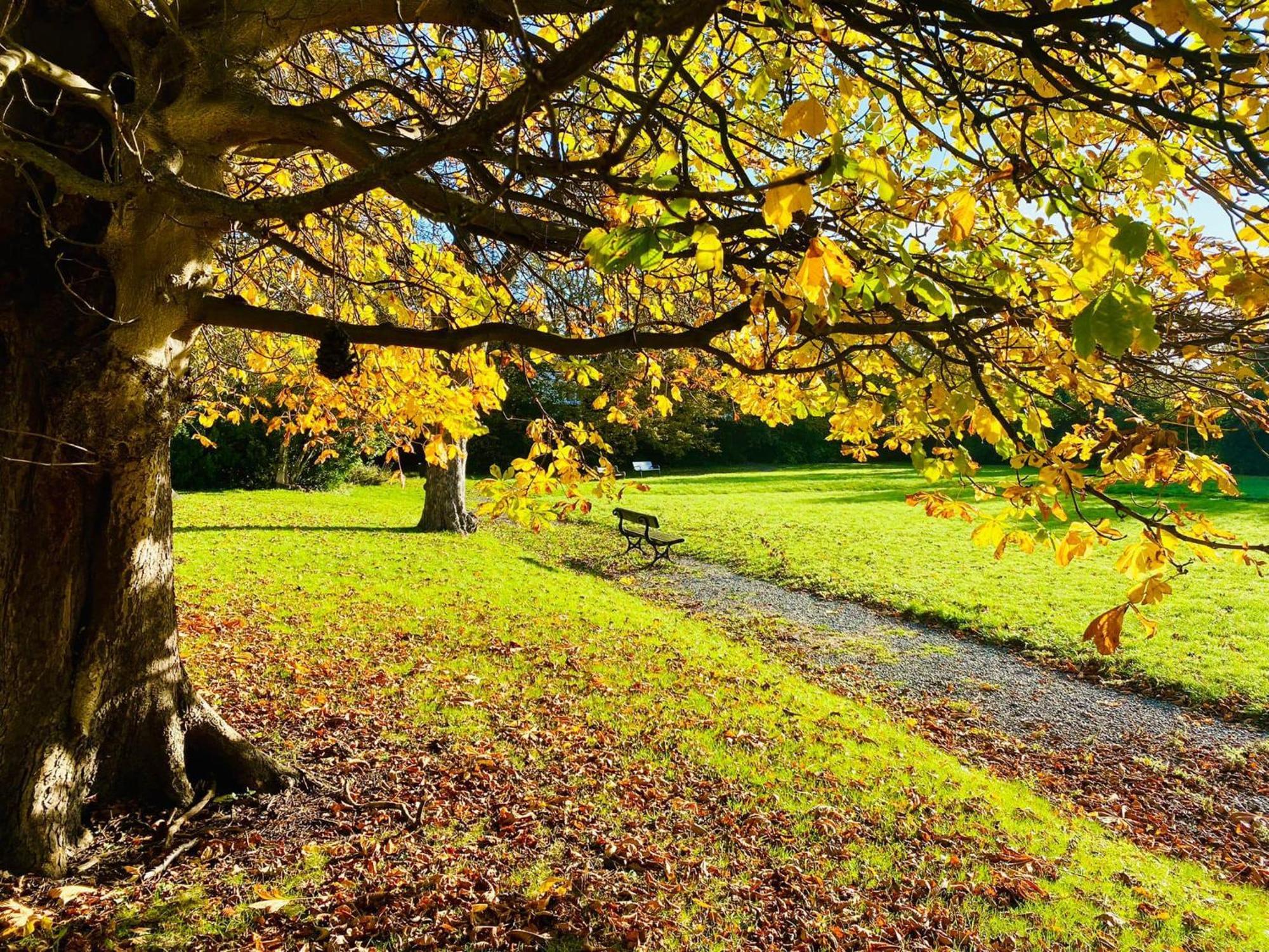 Endsleigh Park Hotel Kingston upon Hull Εξωτερικό φωτογραφία